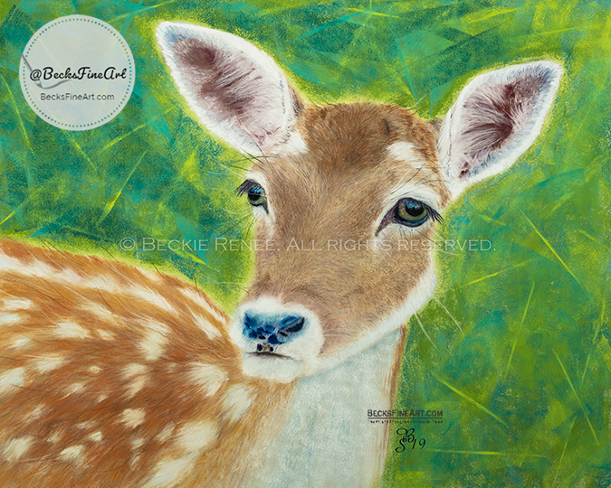white tailed deer in pastels